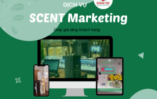 𝐓𝐀̆𝐍𝐆 𝐊𝐇𝐀́𝐂𝐇 𝐇𝐀̀𝐍𝐆 𝐁𝐀̆̀𝐍𝐆 𝐂𝐇𝐈𝐄̂́𝐍 𝐋𝐔̛𝐎̛̣𝐂 𝐓𝐈𝐄̂́𝐏 𝐓𝐇𝐈̣ 𝐌𝐔̀𝐈 𝐇𝐔̛𝐎̛𝐍𝐆