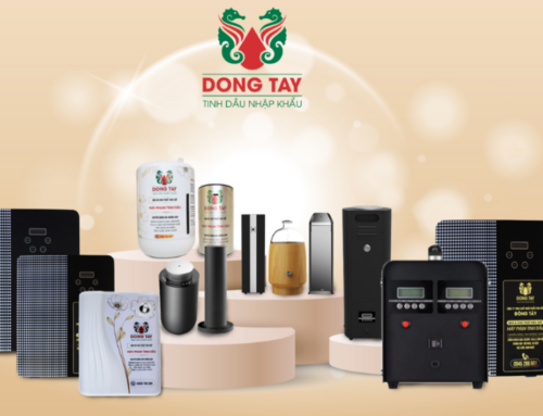 Mua máy phun tinh dầu tốt tại nha trang ở đâu?