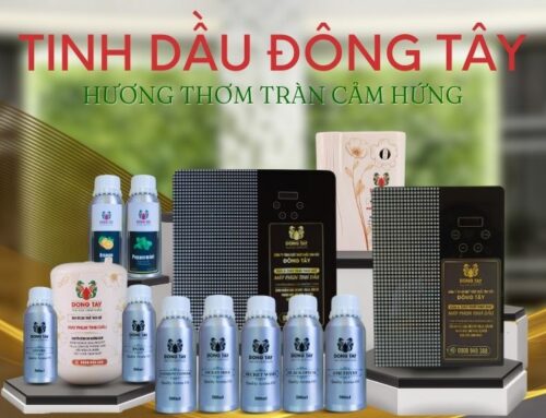 Địa chỉ bán tinh dầu thiên nhiên tại Vũng Tàu