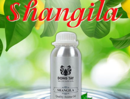 Nhập sỉ tinh dầu nước hoa nguyên chất ở đâu?