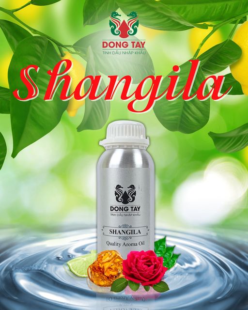 Tinh dầu Shangila