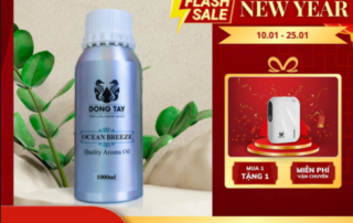 sale tết