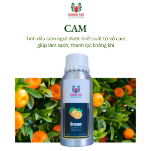 Mùi hương tinh dầu phù hợp cho nhà hàng
