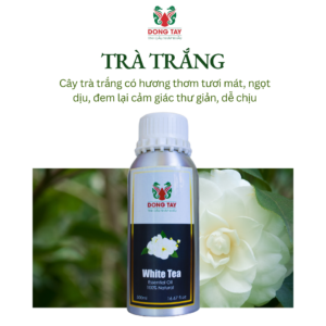 Mùi hương tinh dầu phù hợp cho nhà hàng