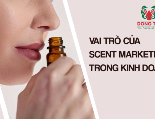 Scent Marketing Đóng Vai Trò Như Thế Nào Trong Kinh Doanh?