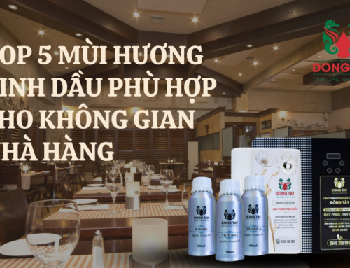 Top 5 Mùi Hương Tinh Dầu Phù Hợp Cho Nhà Hàng