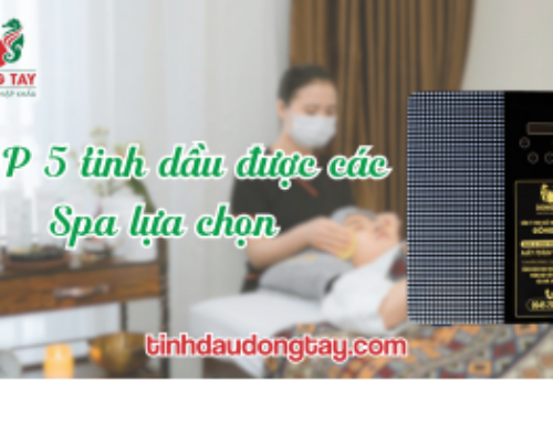 Top 5 tinh dầu dành cho Spa hiện nay